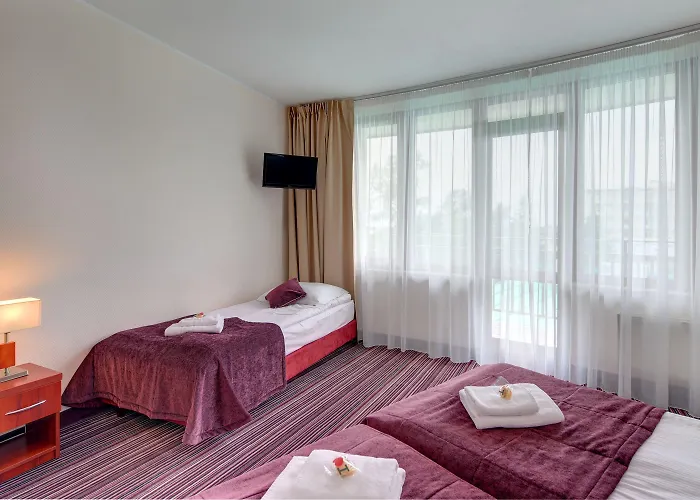 Primavera Jastrzębia Góra