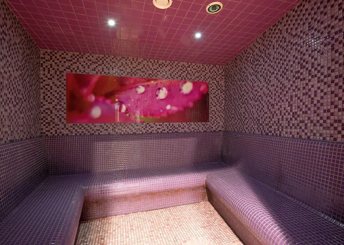 Primavera Jastrzębia Góra