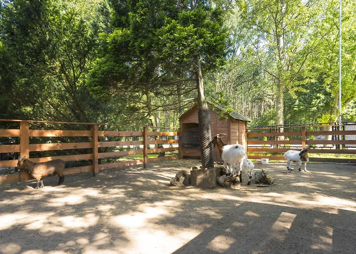 Ośrodek wypoczynkowy Primavera Jastrzębia Góra